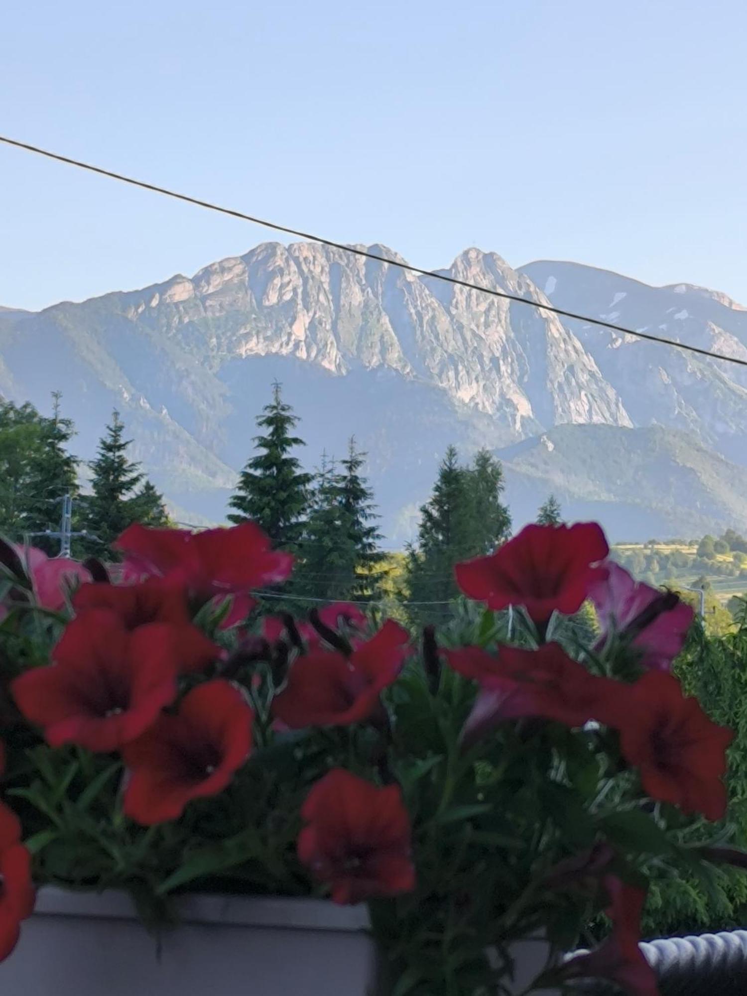 Pokoje Goscinne U Paliderki Poronin Bagian luar foto
